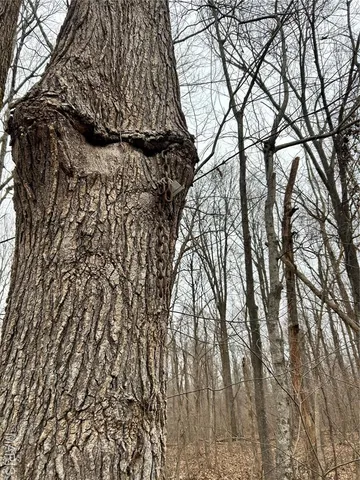 $135,000 | 3697 Poplar Bluff, Poplar Bluff, MO 63901