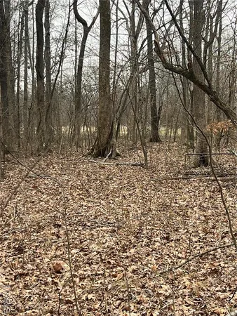 $135,000 | 3697 Poplar Bluff, Poplar Bluff, MO 63901