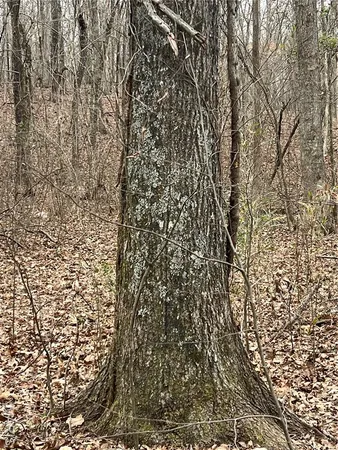 $135,000 | 3697 Poplar Bluff, Poplar Bluff, MO 63901