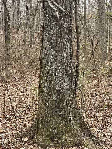 $135,000 | 3697 Poplar Bluff, Poplar Bluff, MO 63901