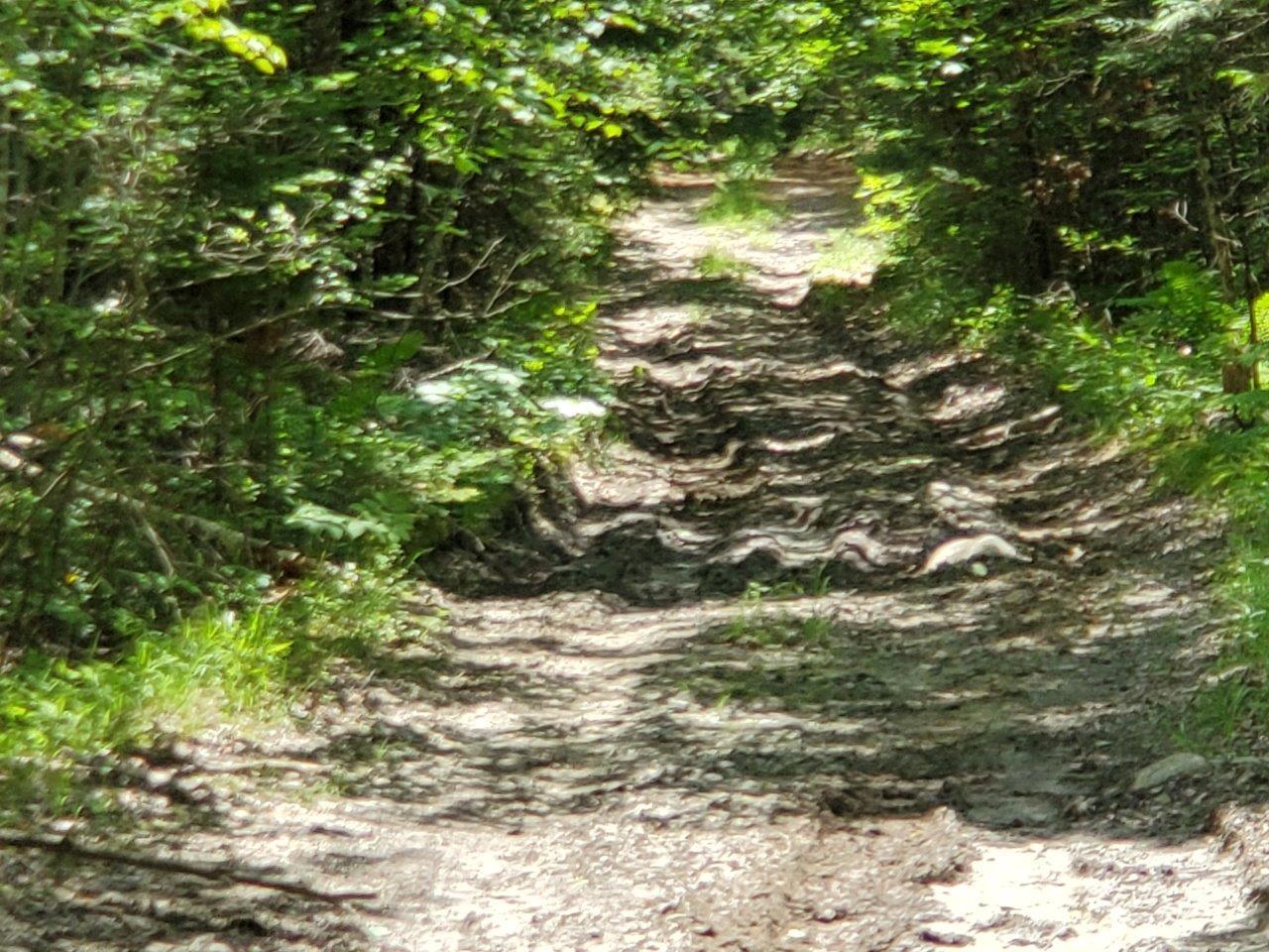 0 Morgan Road Burnham, ME 04922 - Photo 29 of 69 20250617_124032