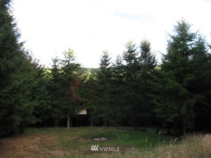 201 Scenic Ridge Drive Chehalis, WA 98532 - Photo 13 of 14