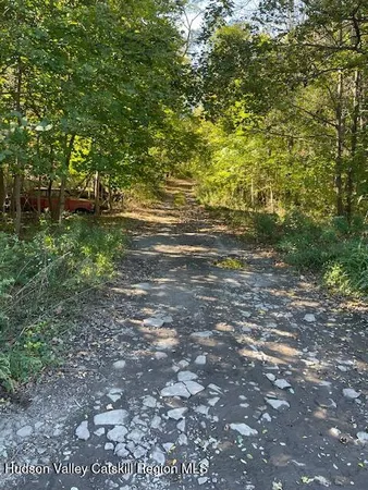 $55,000 | L-33 Harring Drive, Cairo, NY 12413
