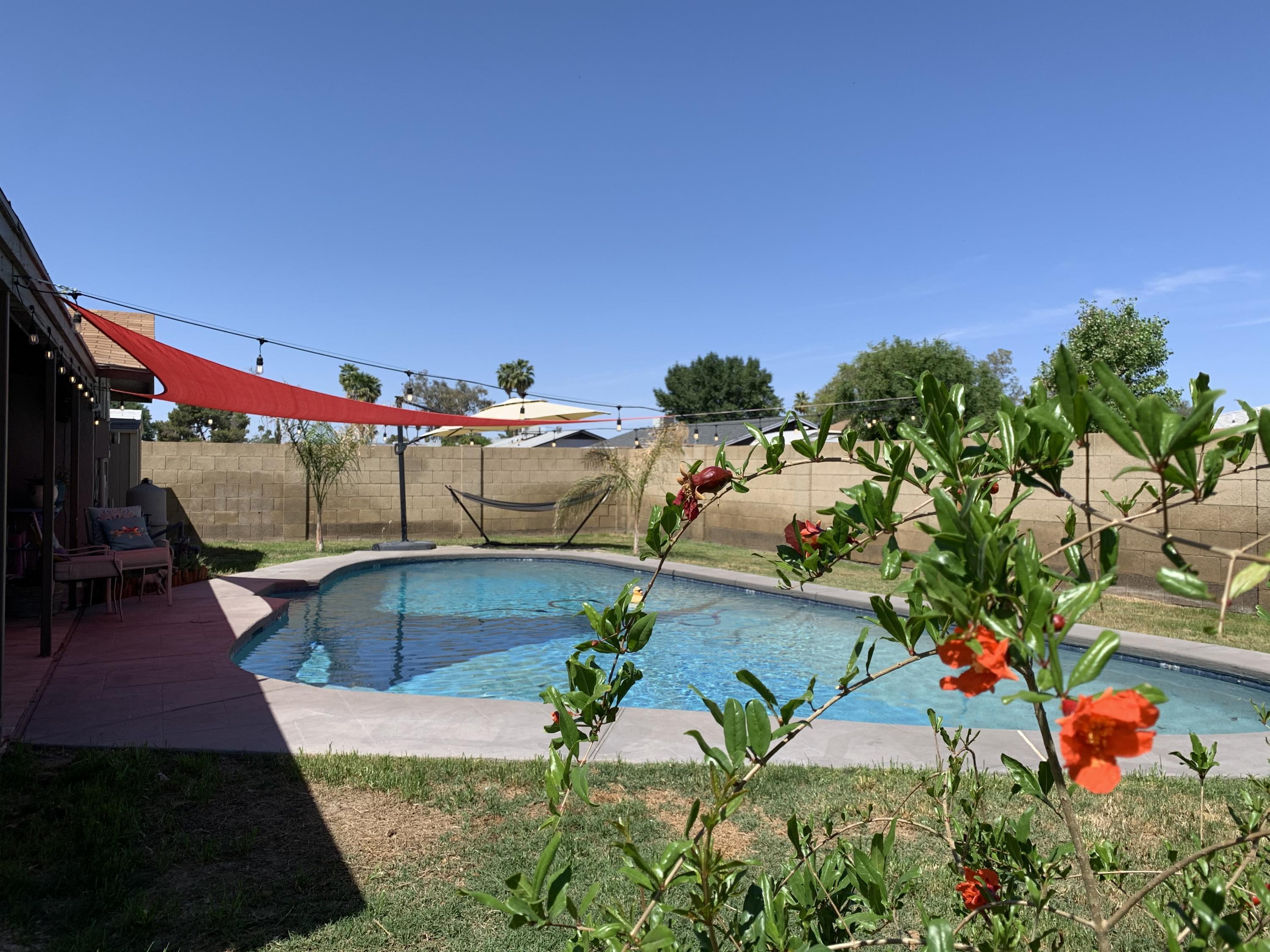 826 West Del Rio Street Chandler, AZ 85225 - Photo 51 of 56 IMG_2066