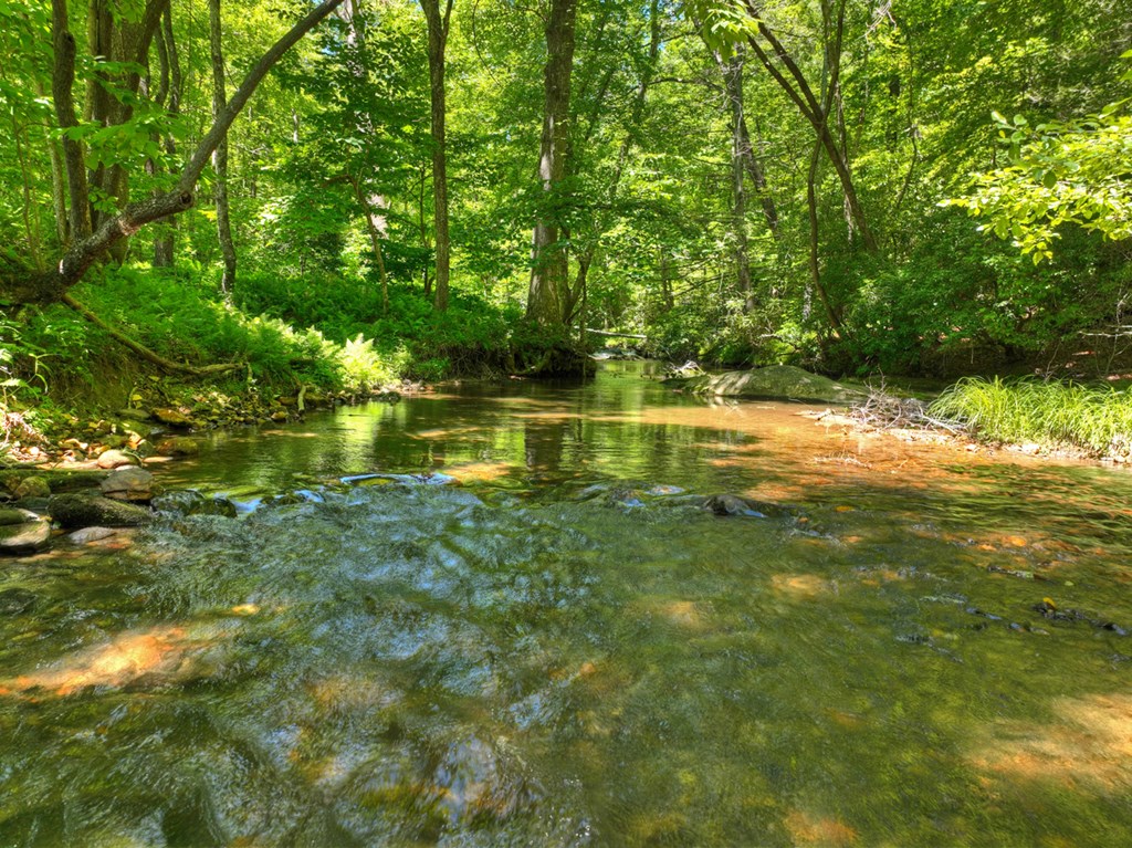2628 Big Creek Road Cherry Log, GA 30522 - Photo 67 of 69