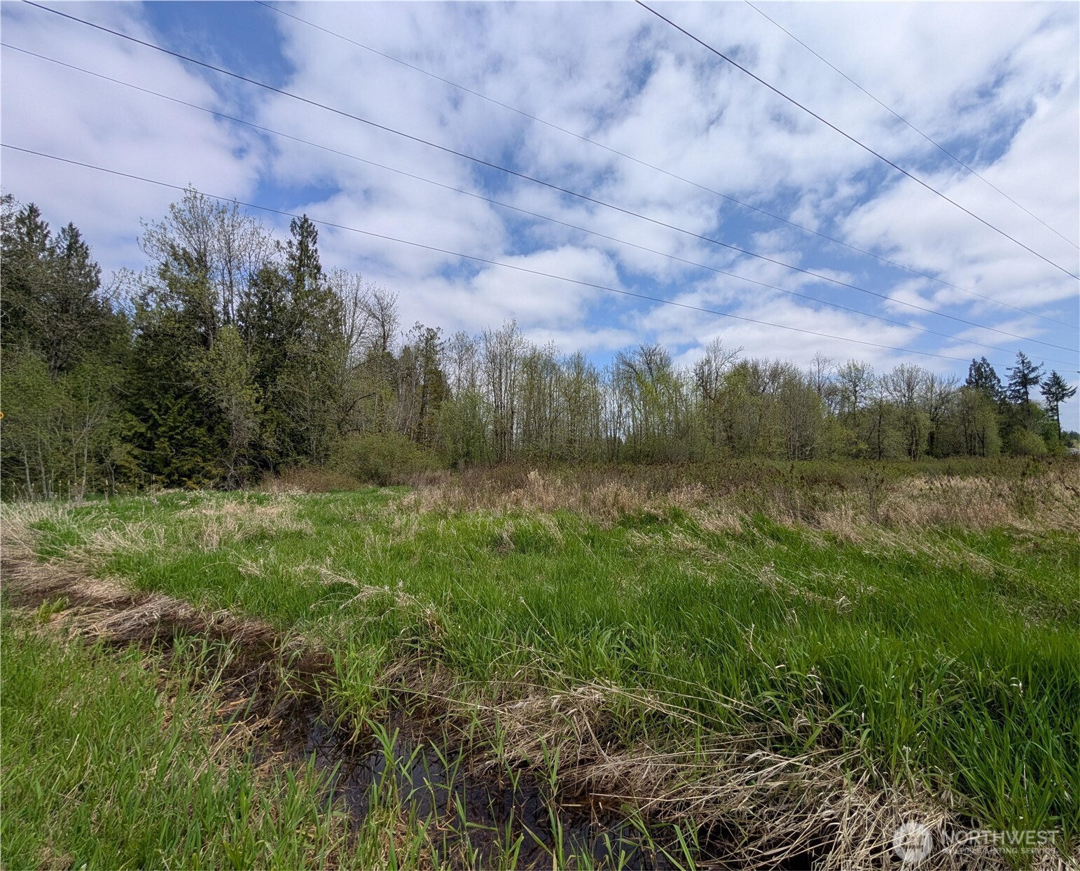 0 Trosper Road Southwest Tumwater, WA 98512 - Photo 10 of 21 Gallery Image 10