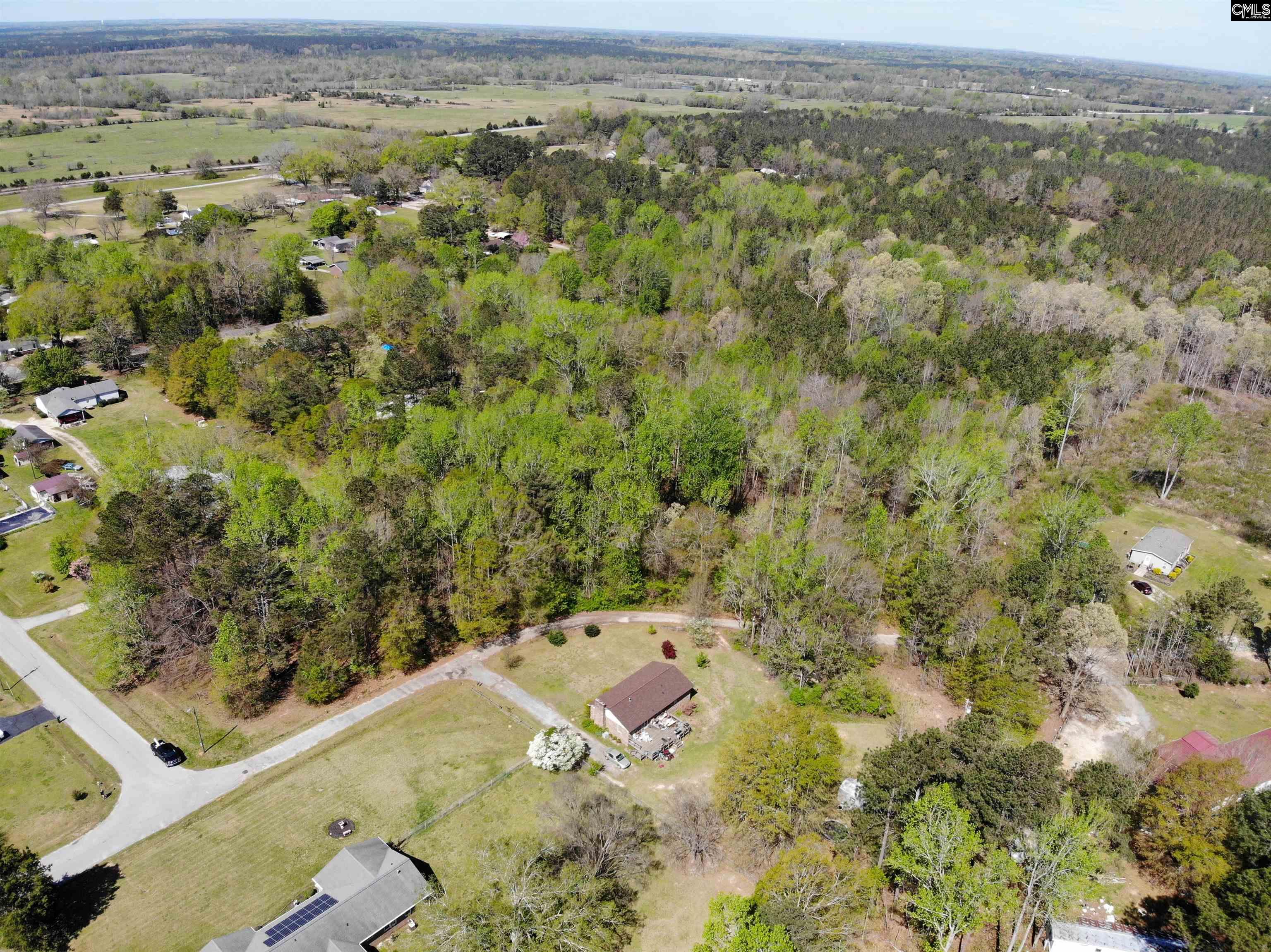 Tbd James Road Joanna, SC 29351 - Photo 69 of 82