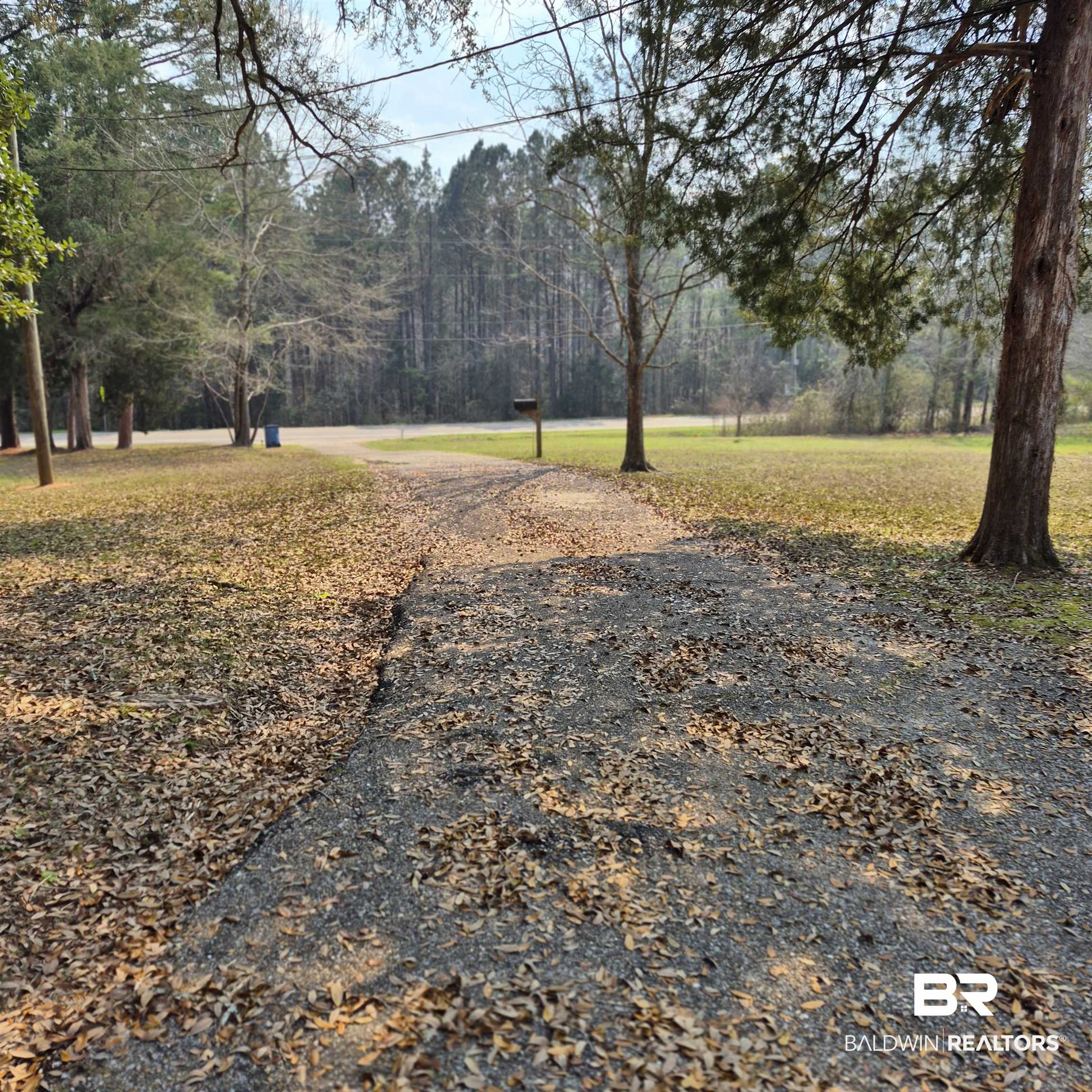 721 Perryman Street Evergreen, AL 36401 - Photo 26 of 26 View of grassy yard