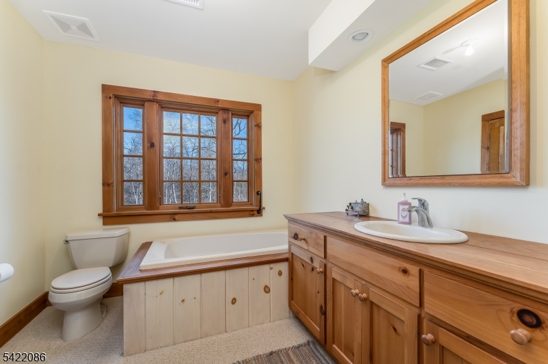 348 Rosemont Ringoes Road Stockton, NJ 08559 - Photo 27 of 49 a bathroom with a toilet a sink a mirror a window and vanity