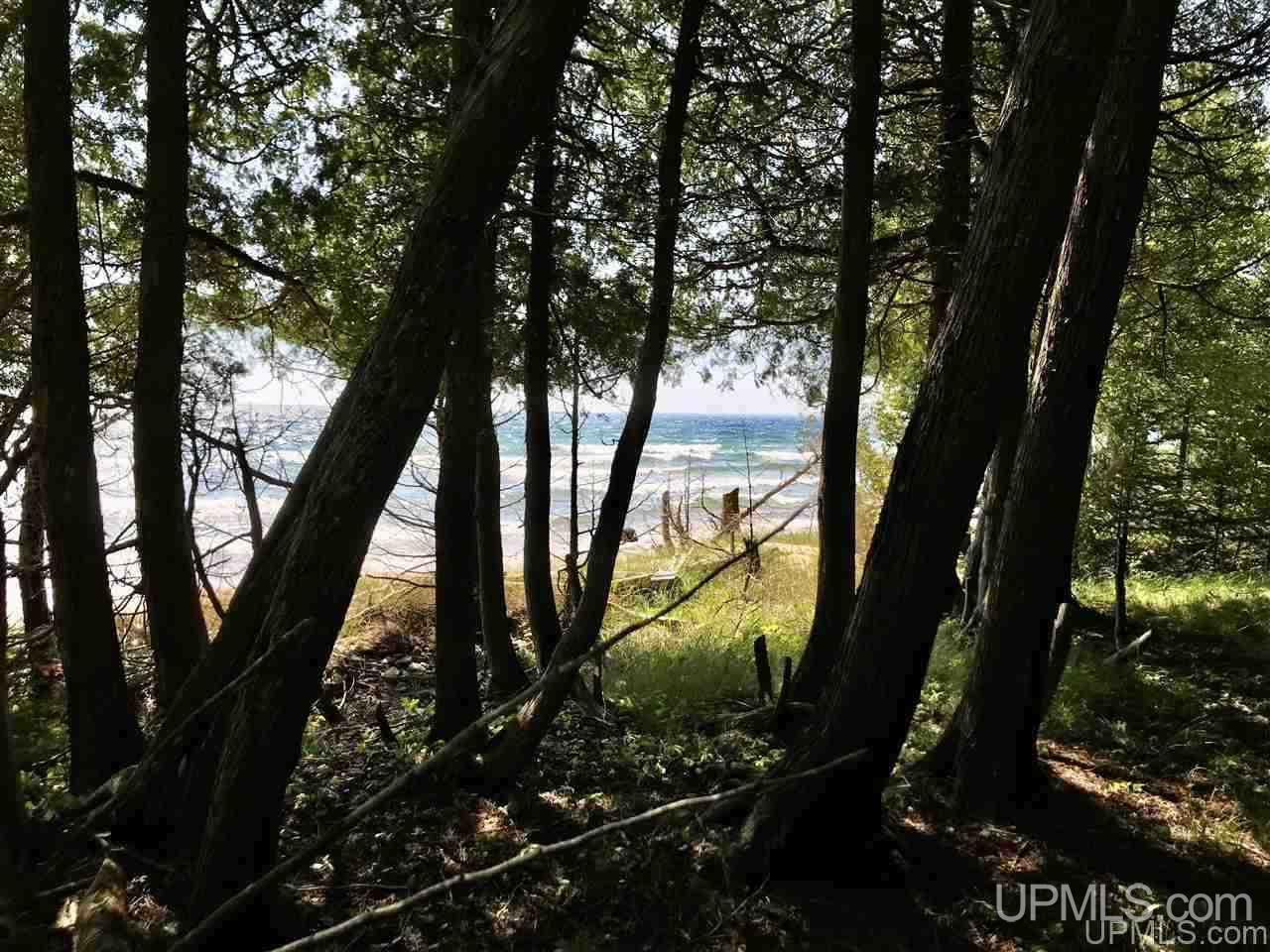 75 Gg 75 Road, Unit G SOUTH Garden, MI 49835 - Photo 11 of 14