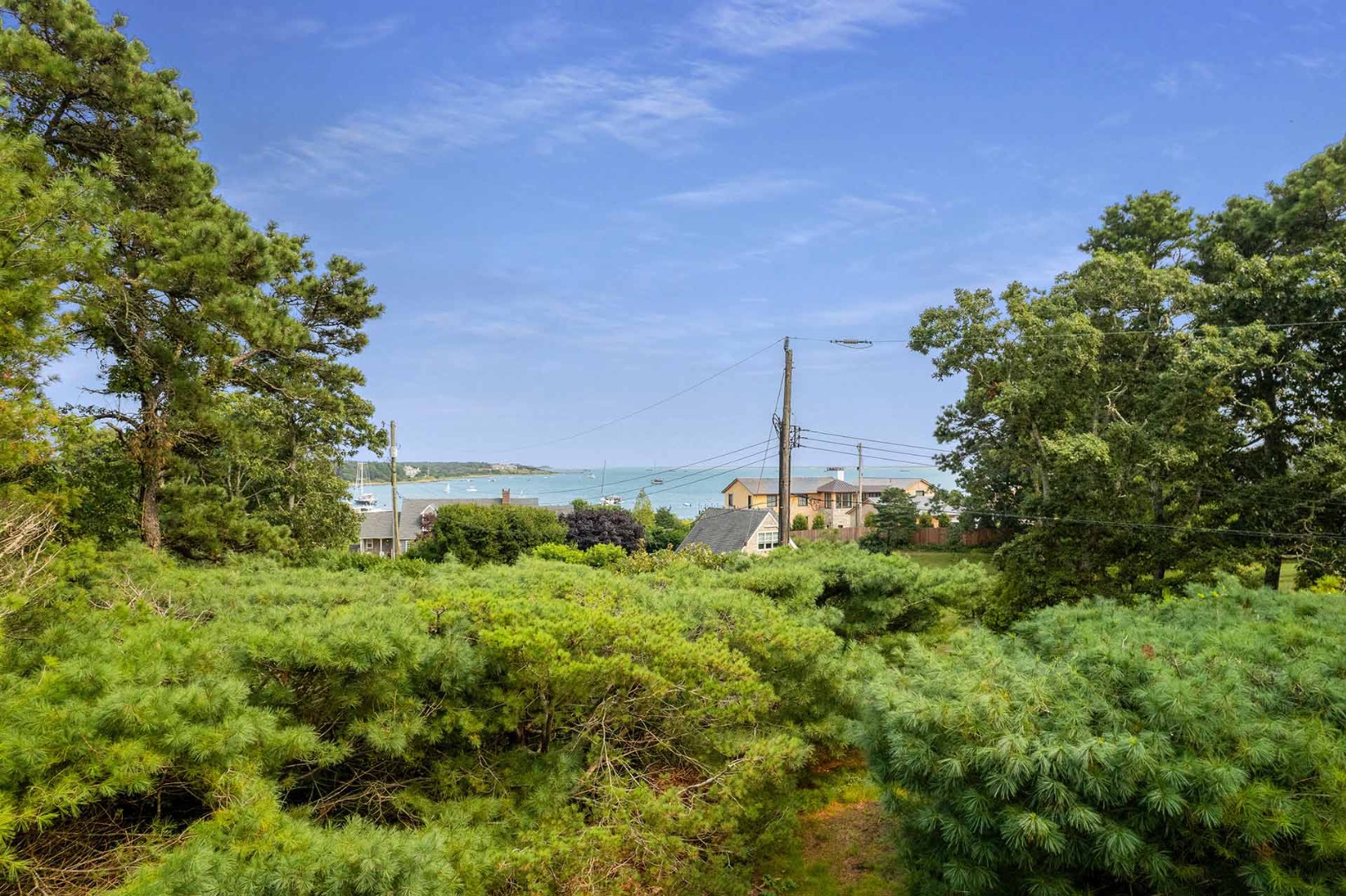 25 Down Harbor Road Edgartown, MA 02539 - Photo 5 of 35 a view of a garden