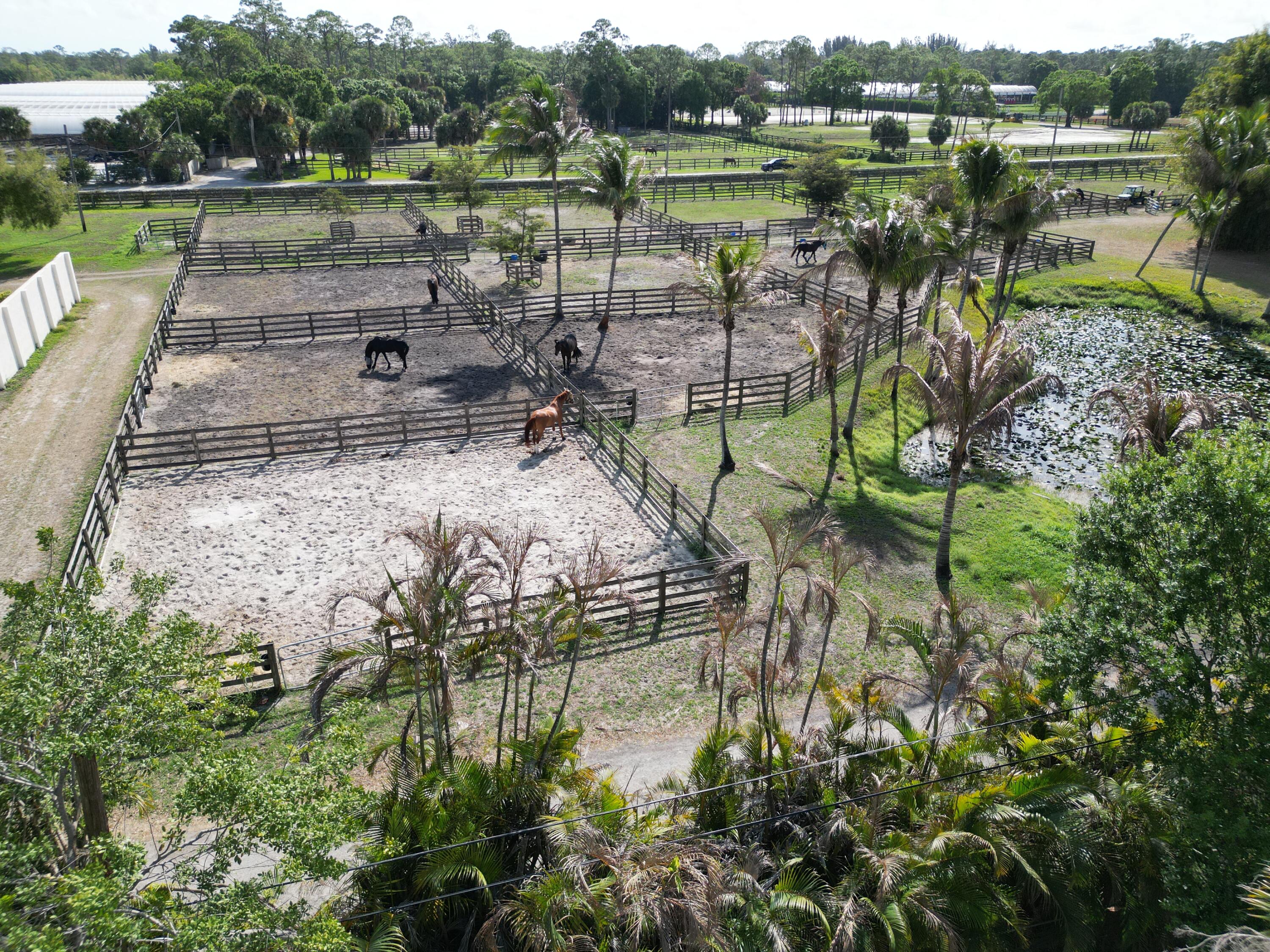 14523 Flamingo Road Loxahatchee Groves, FL 33470 - Photo 25 of 50 a view of a water pond with green field