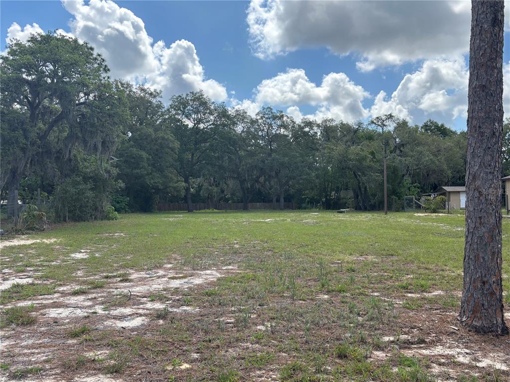 15546 Hicks Road Hudson, FL 34667 - Photo 5 of 8 a view of a golf course with a yard