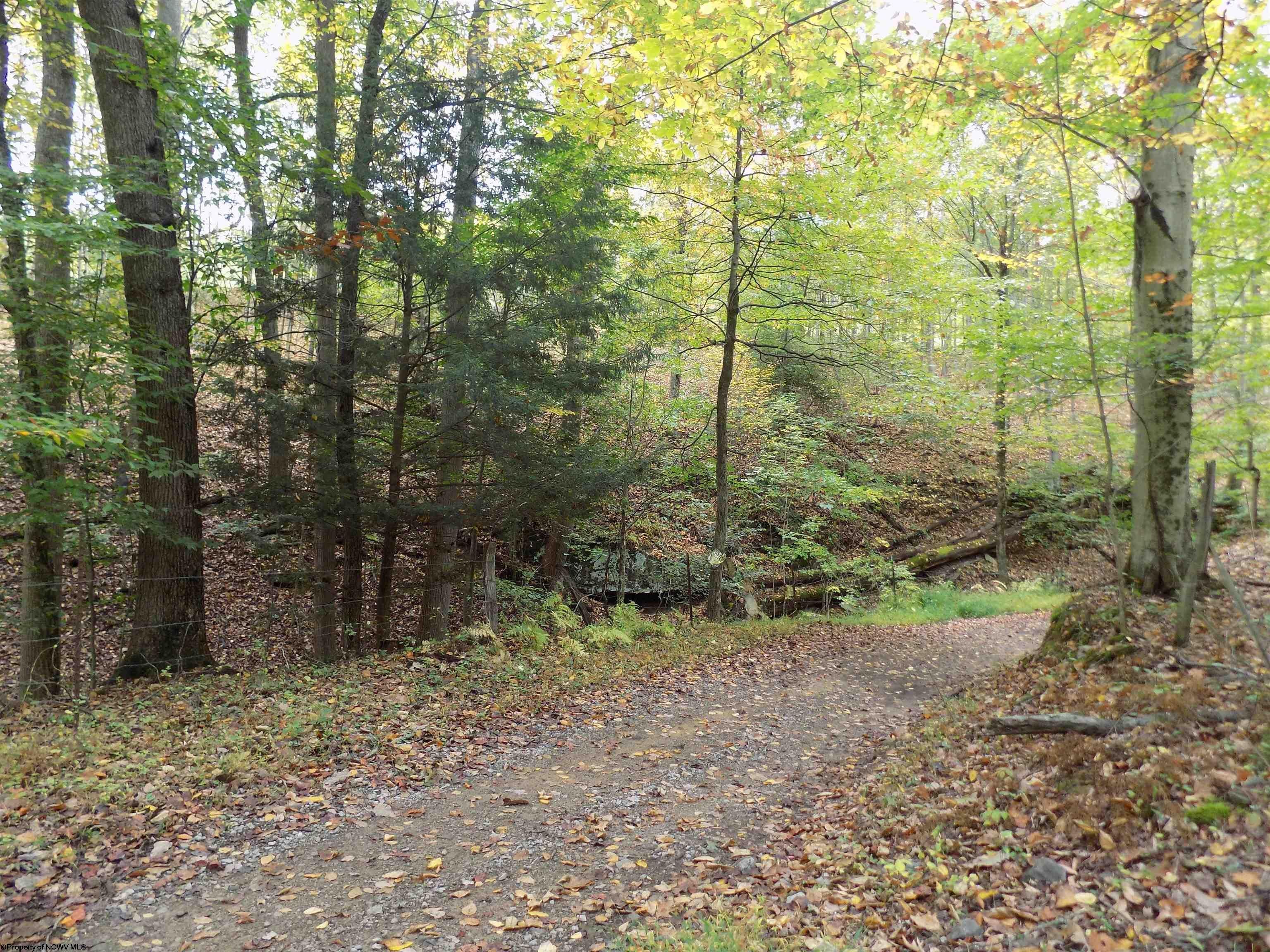 96 Comfort Road Fairmont, WV 26554 - Photo 3 of 13 Gallery Image 3