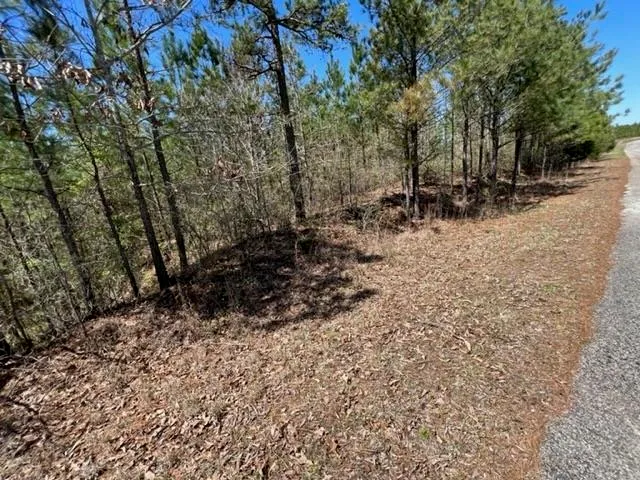 $75,000 | 19 King Road, Medon, TN 38356