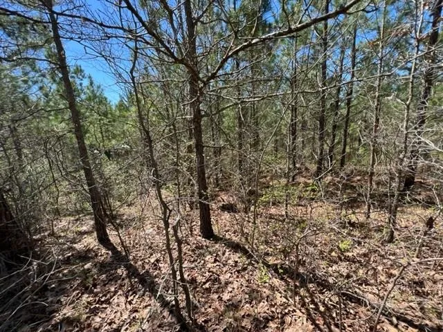 $75,000 | 19 King Road, Medon, TN 38356