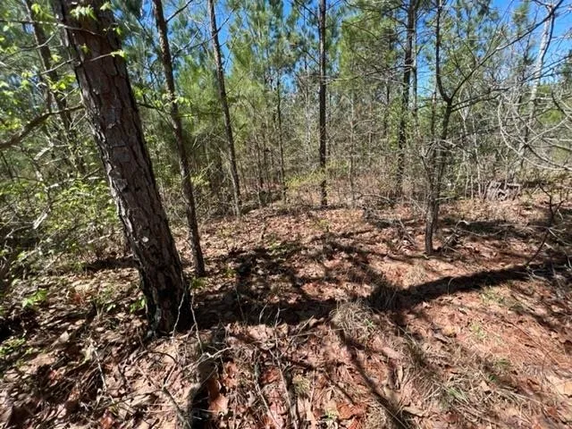 $75,000 | 19 King Road, Medon, TN 38356