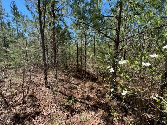 $75,000 | 19 King Road, Medon, TN 38356