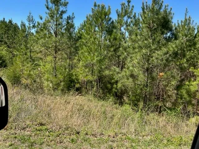 $75,000 | 19 King Road, Medon, TN 38356