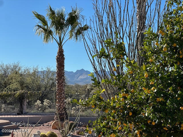 16300 Sycamore Ridge Trail Vail, AZ 85641 - Photo 45 of 47 Gallery Image 45
