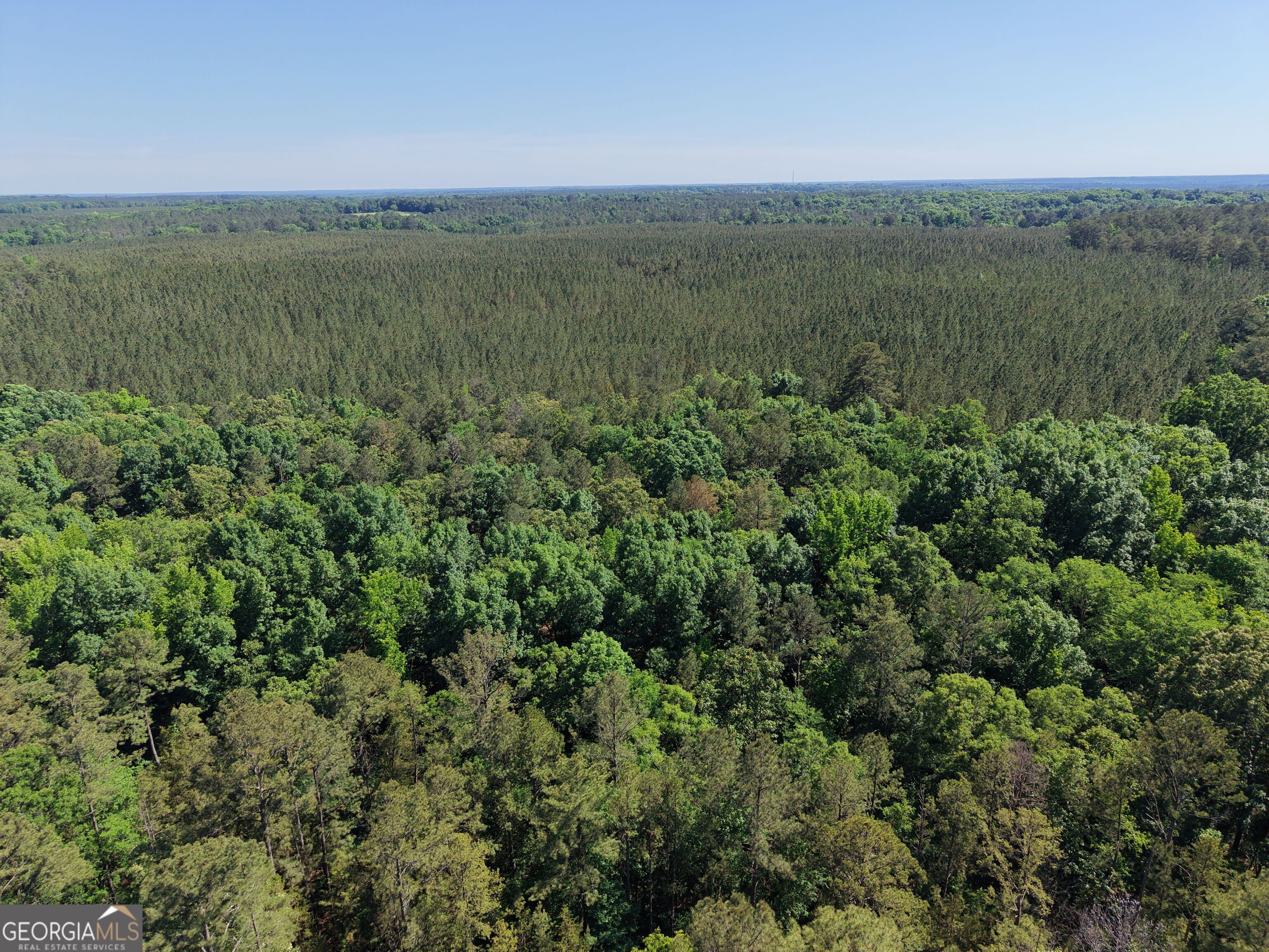580 Saggus Road Washington, GA 30673 - Photo 12 of 54
