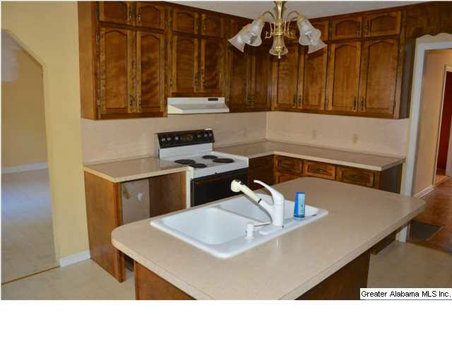 3711 Blue Springs Road Wilsonville, AL 35186 - Photo 6 of 29