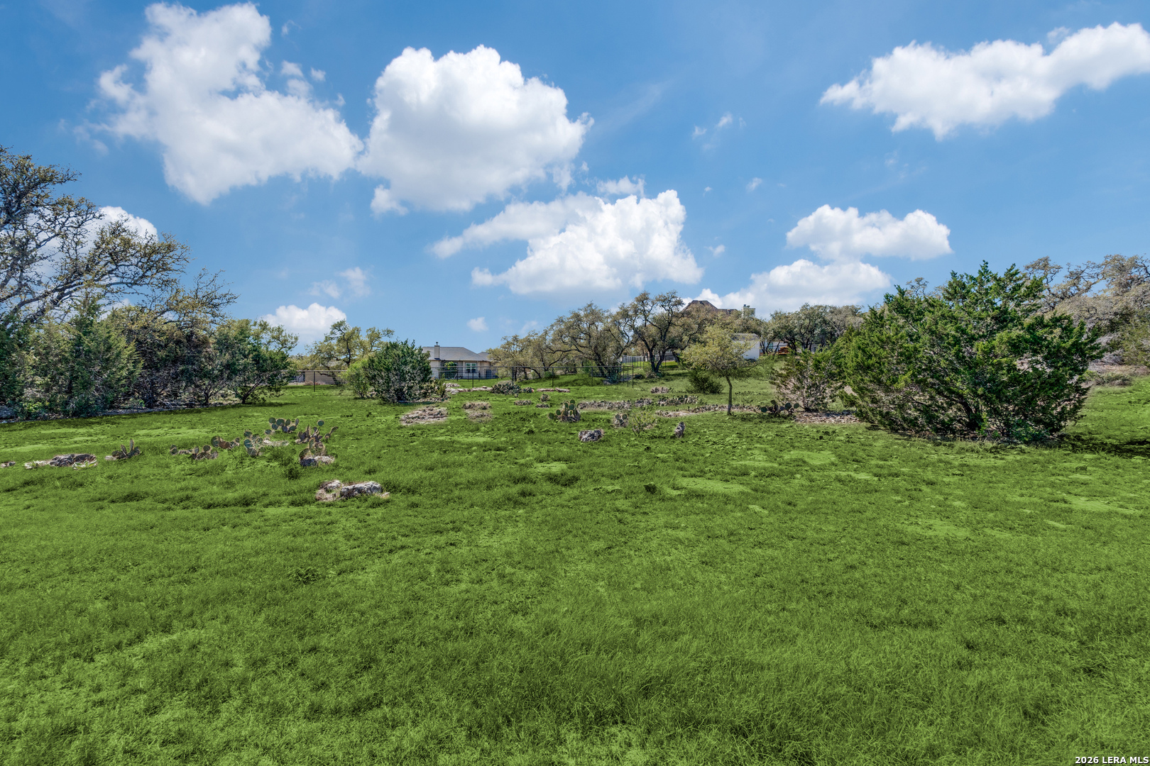 230 Sabella Spring Branch, TX 78070 - Photo 24 of 24 a view of a big yard with lots of green space