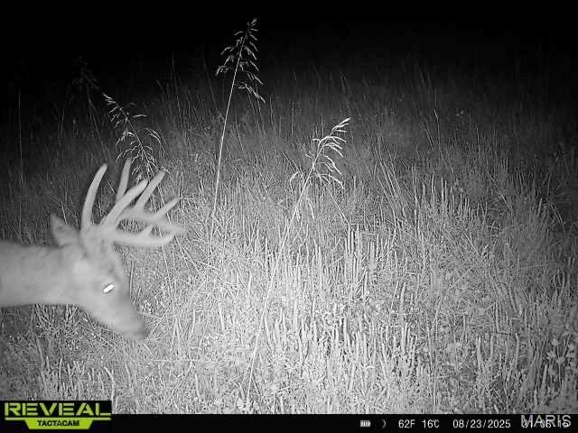 0 Sand Creek Bottom Road Greentop, MO 63546 - Photo 22 of 52
