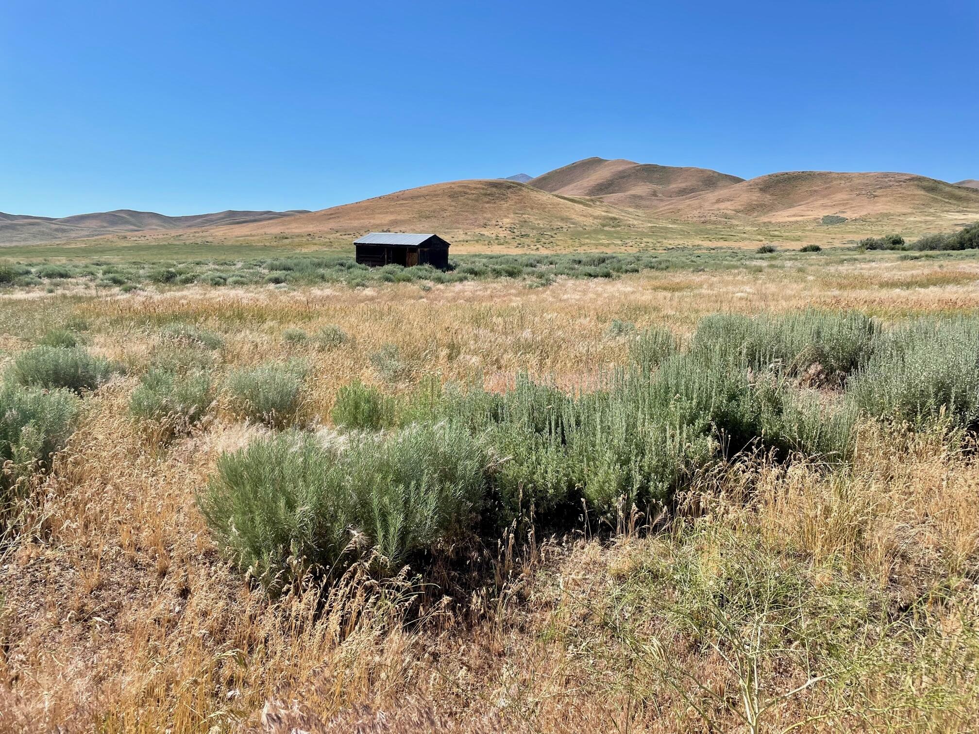 Tbd Horseshoe Loop East Fairfield, ID 83327 - Photo 1 of 1 Small outbuilding on lot