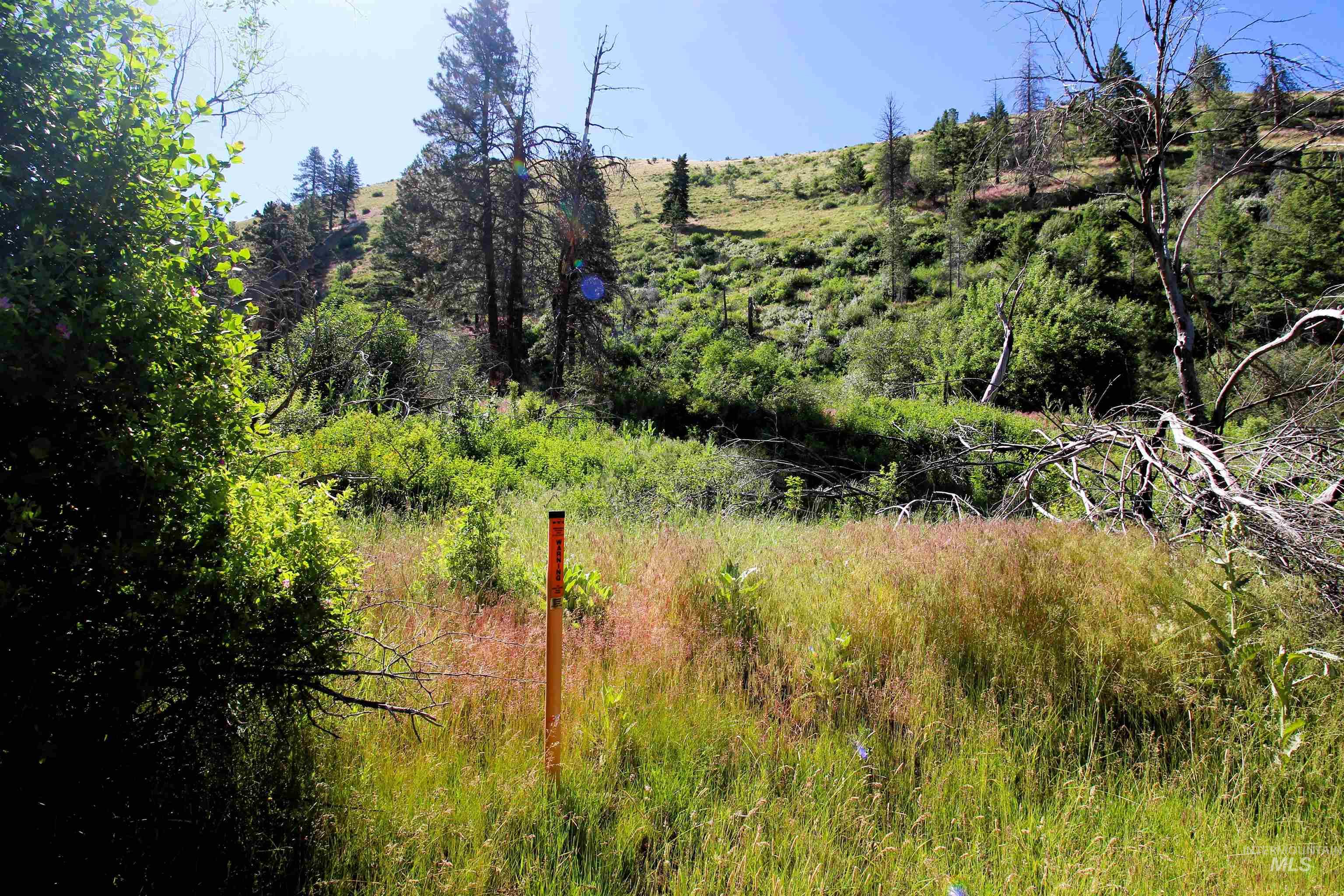 Tbd Advent Gulch Road Cambridge, ID 83610 - Photo 15 of 30