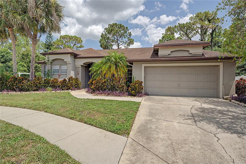 7201 Forestedge Court New Port Richey, FL 34655 - Photo 32 of 37