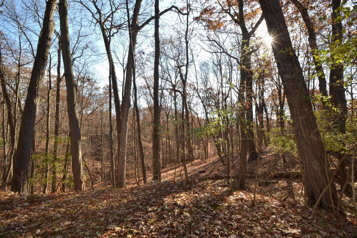 921 Forest Road Ann Arbor, MI 48105 - Photo 1 of 11 Photo 1