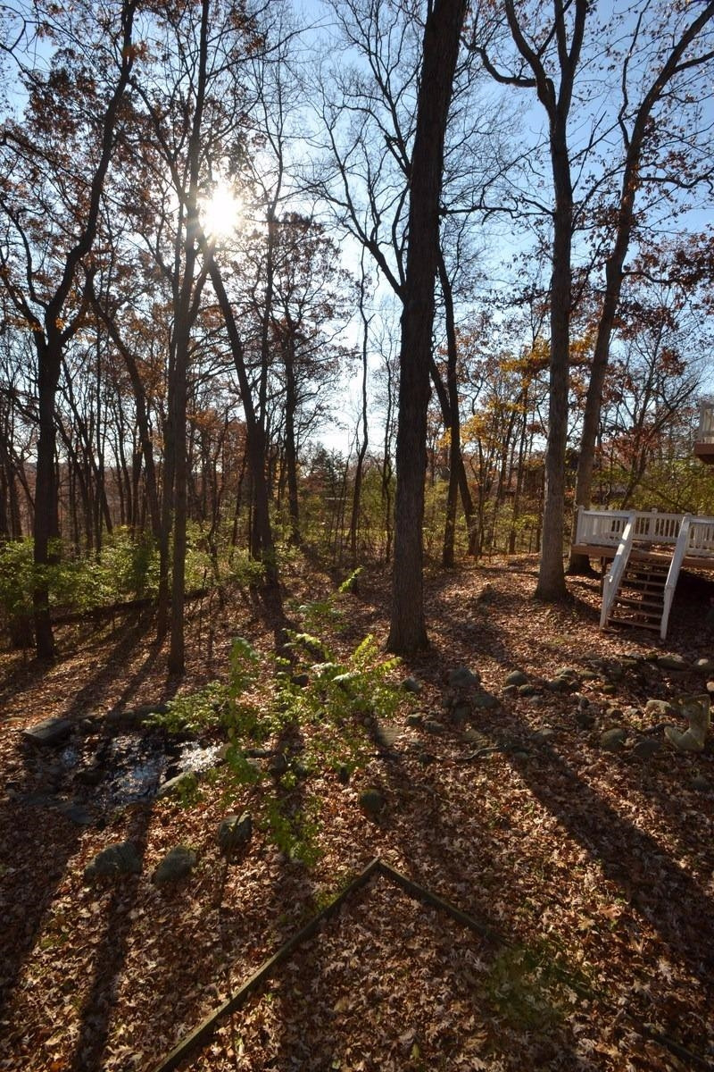 921 Forest Road Ann Arbor, MI 48105 - Photo 3 of 11 Photo 3