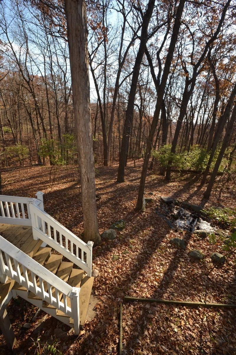 921 Forest Road Ann Arbor, MI 48105 - Photo 6 of 11 Photo 6