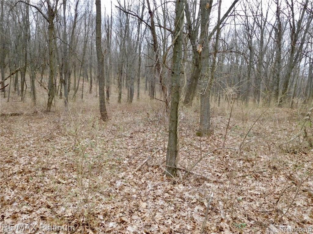0 West Buno Road Milford, MI 48381 - Photo 6 of 28