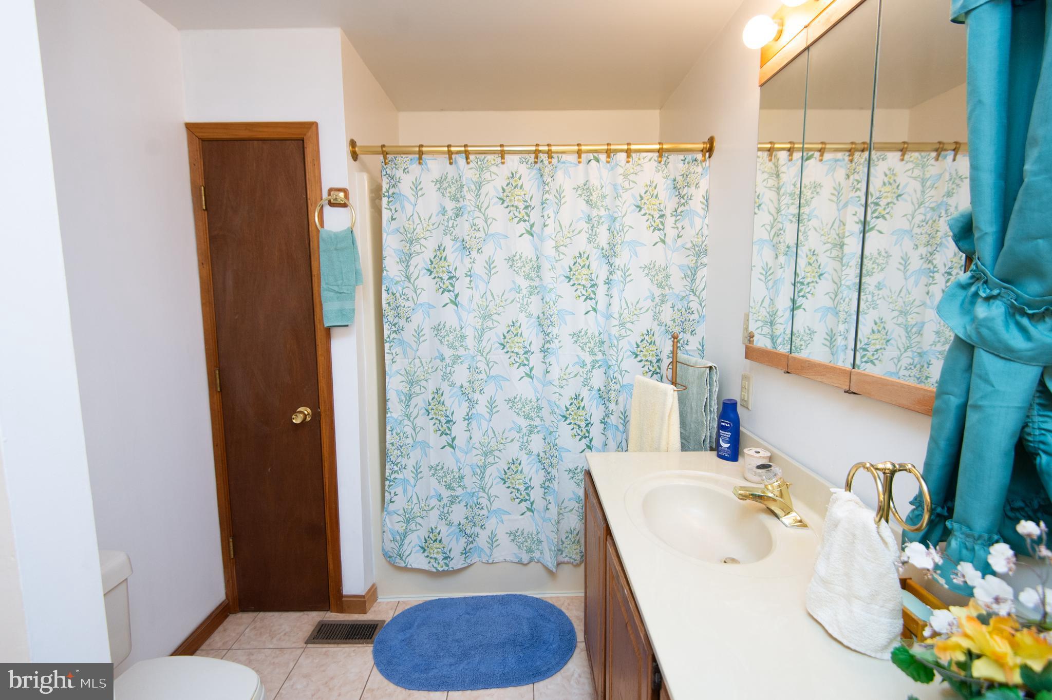 8197 Detour Road Denton, MD 21629 - Photo 31 of 77 Master bath w/tub and shower