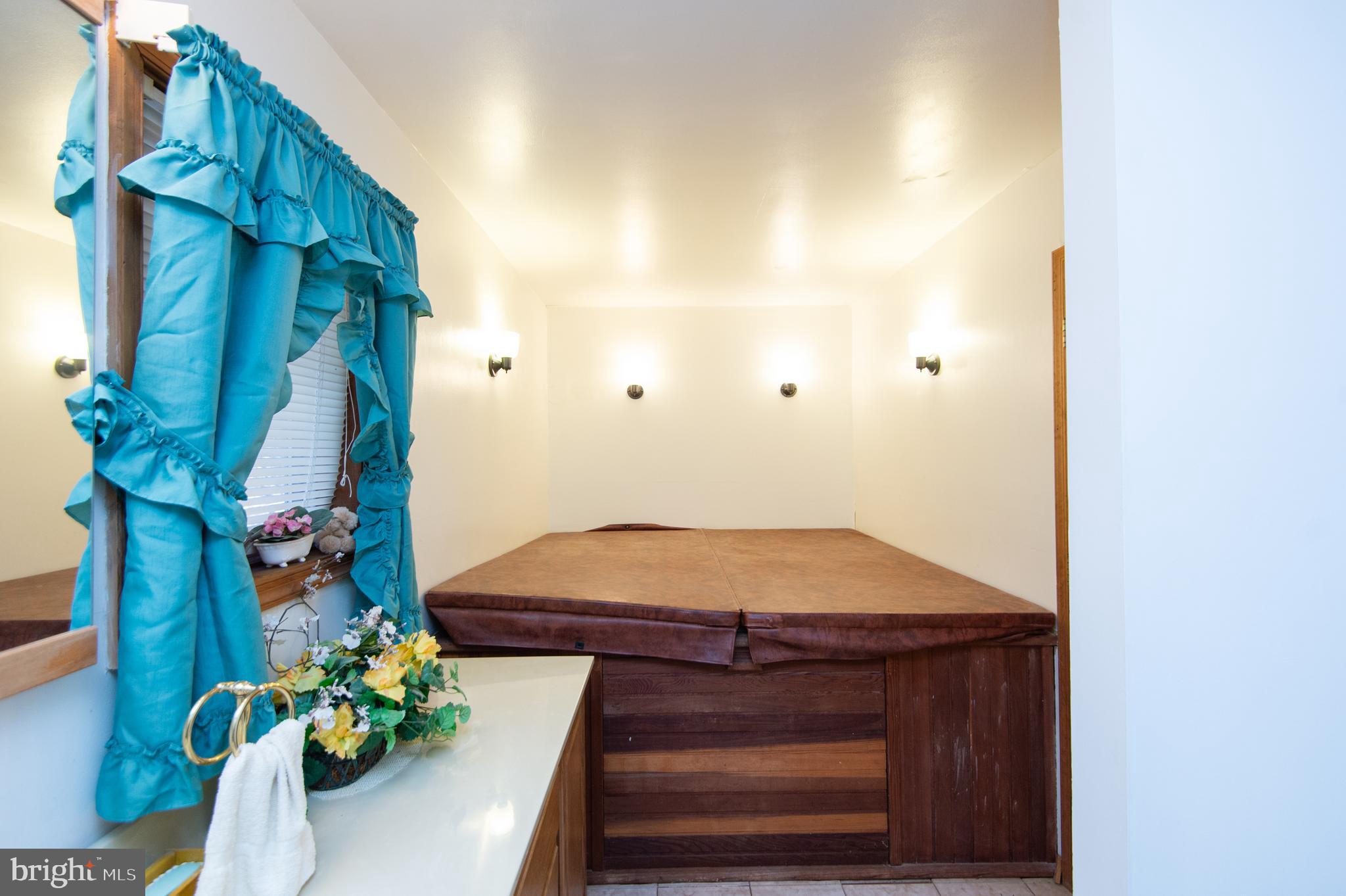 8197 Detour Road Denton, MD 21629 - Photo 32 of 77 Master bath w/hot tub