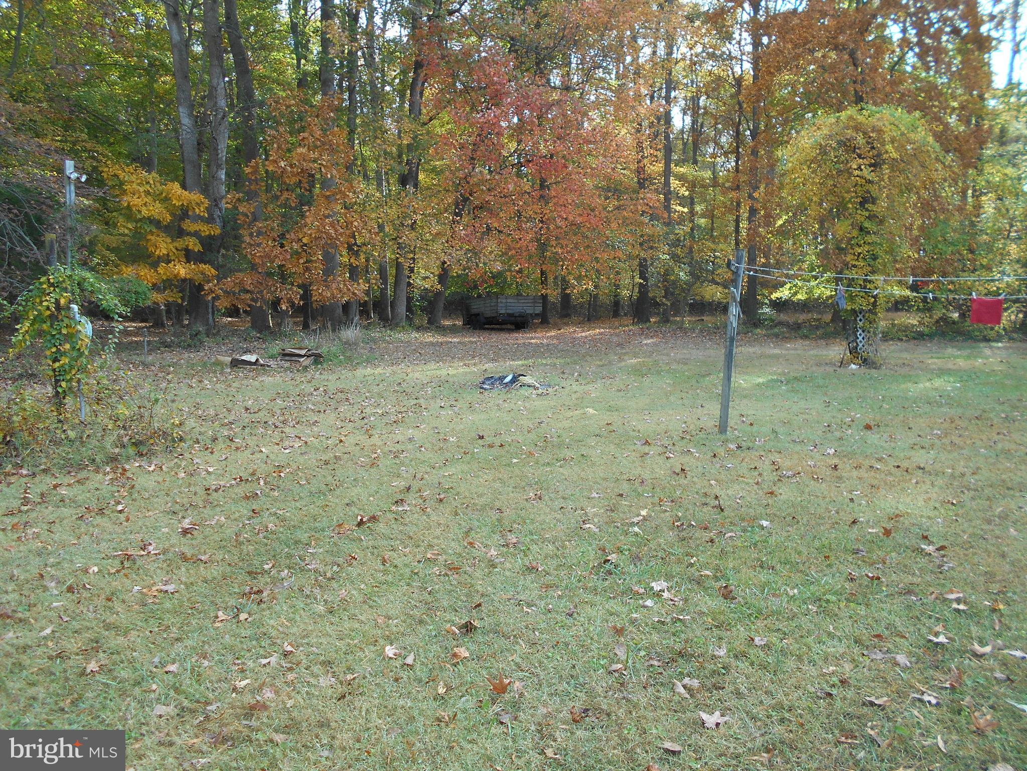 8197 Detour Road Denton, MD 21629 - Photo 5 of 77 Rear yard