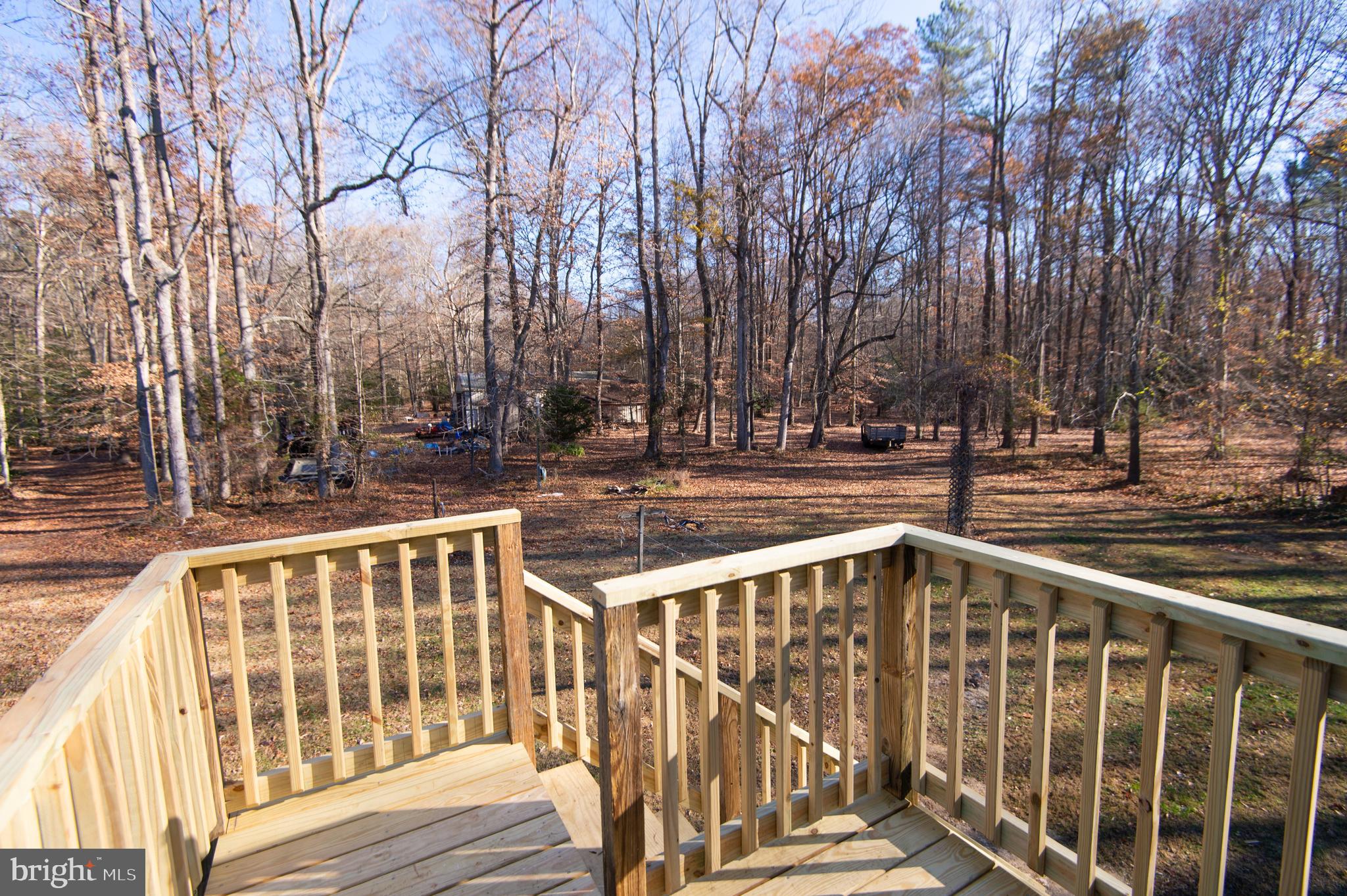 8197 Detour Road Denton, MD 21629 - Photo 54 of 77 Bouns room over garage