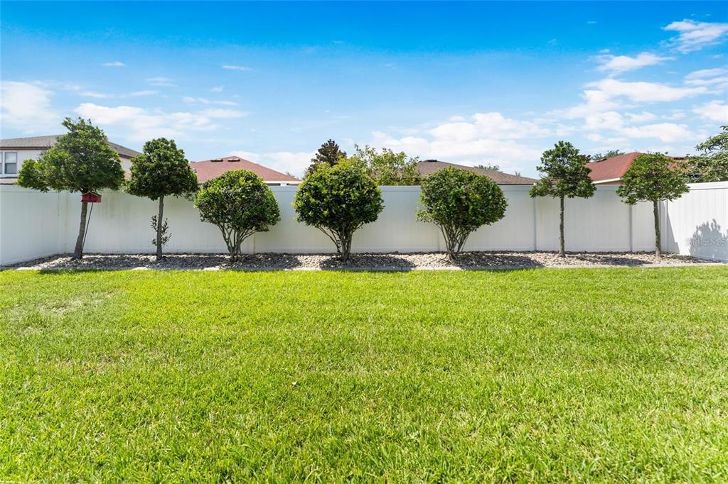 2849 Maple Brook Loop Lutz, FL 33558 - Photo 27 of 36