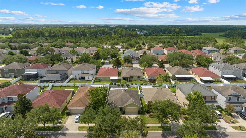 2849 Maple Brook Loop Lutz, FL 33558 - Photo 31 of 36