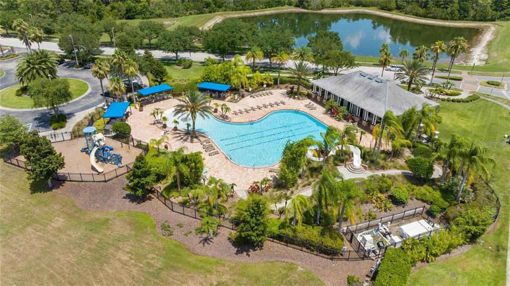 2849 Maple Brook Loop Lutz, FL 33558 - Photo 34 of 36