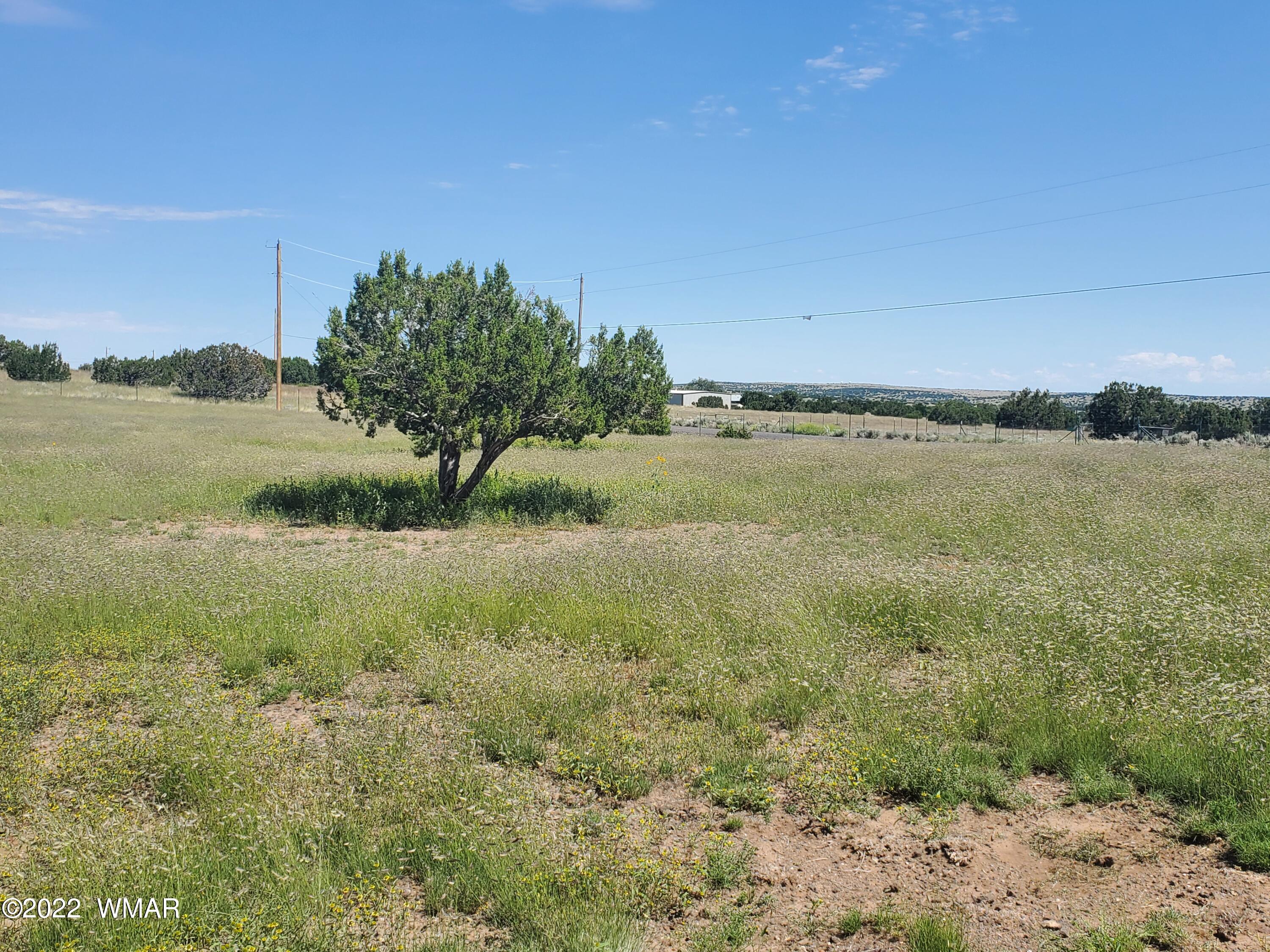41 County Road, Unit 33 Concho, AZ 85924 - Photo 11 of 13