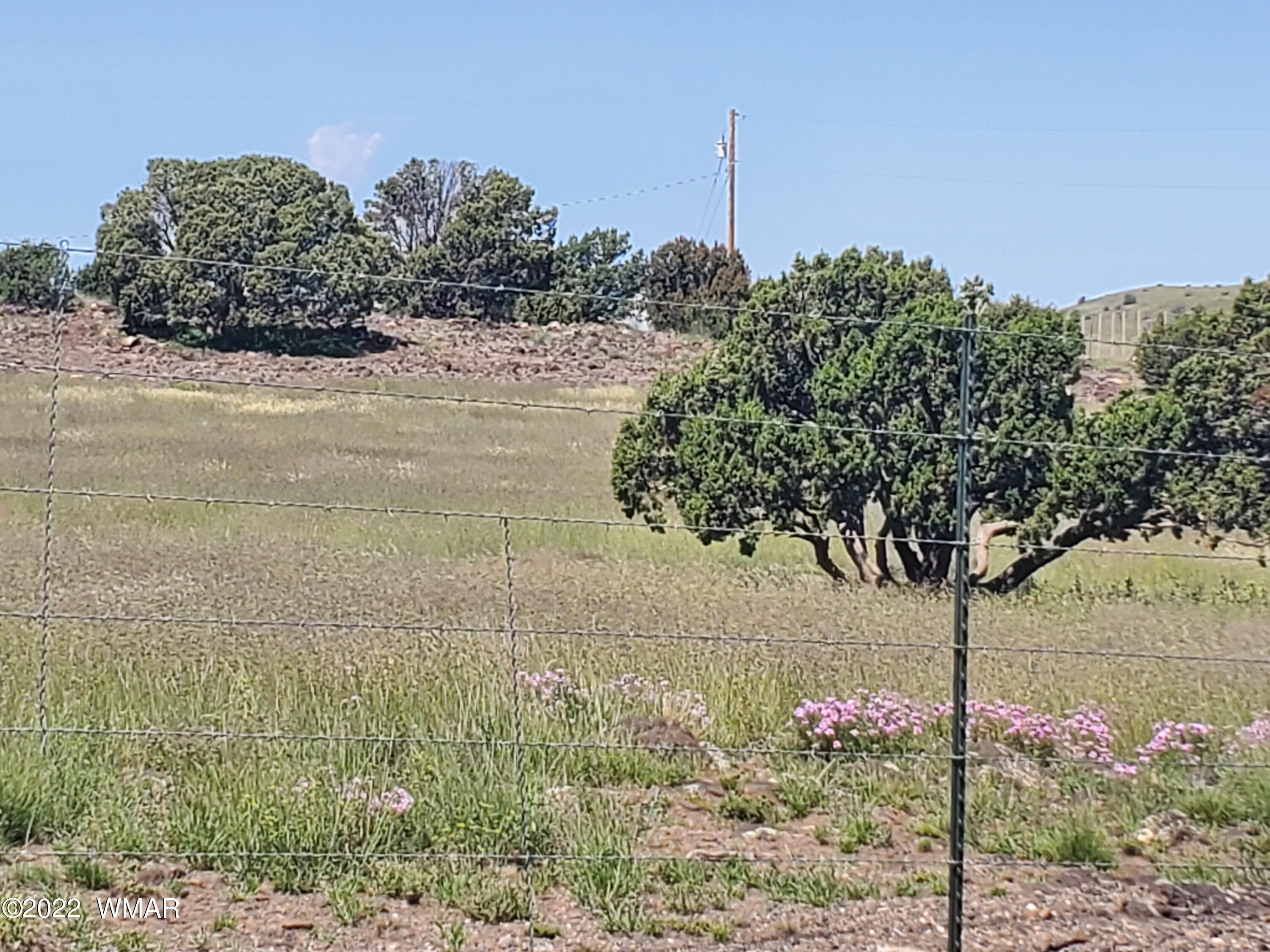 41 County Road, Unit 33 Concho, AZ 85924 - Photo 10 of 13