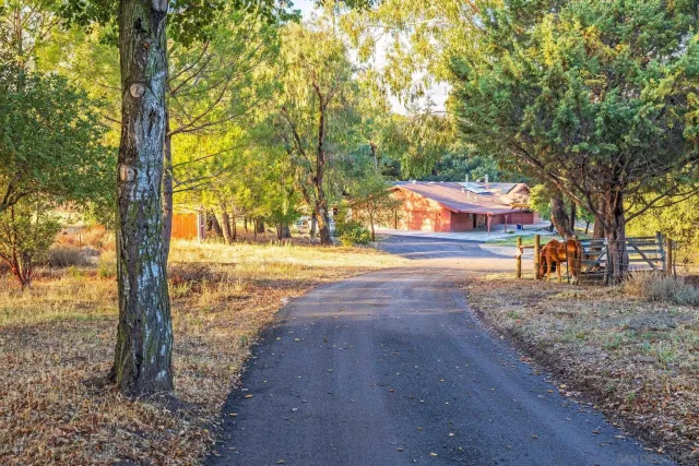 a view of yard with tree and wooden fence