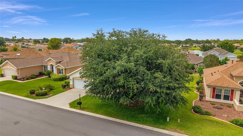 9588 Southeast 124th Loop Summerfield, FL 34491 - Photo 44 of 73
