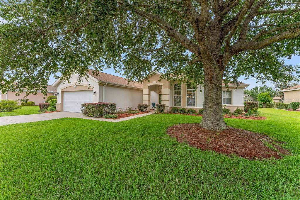 9588 Southeast 124th Loop Summerfield, FL 34491 - Photo 47 of 79