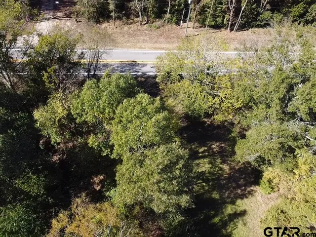 a view of a yard with plants and trees