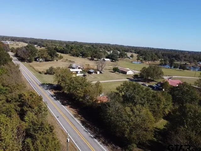 a view of a forest with trees