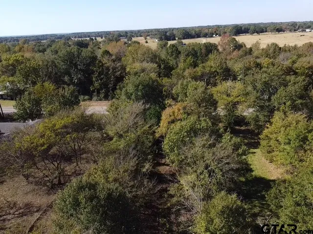 $50,000 | 1799 St Alba Tx 75410, Alba, TX 75410